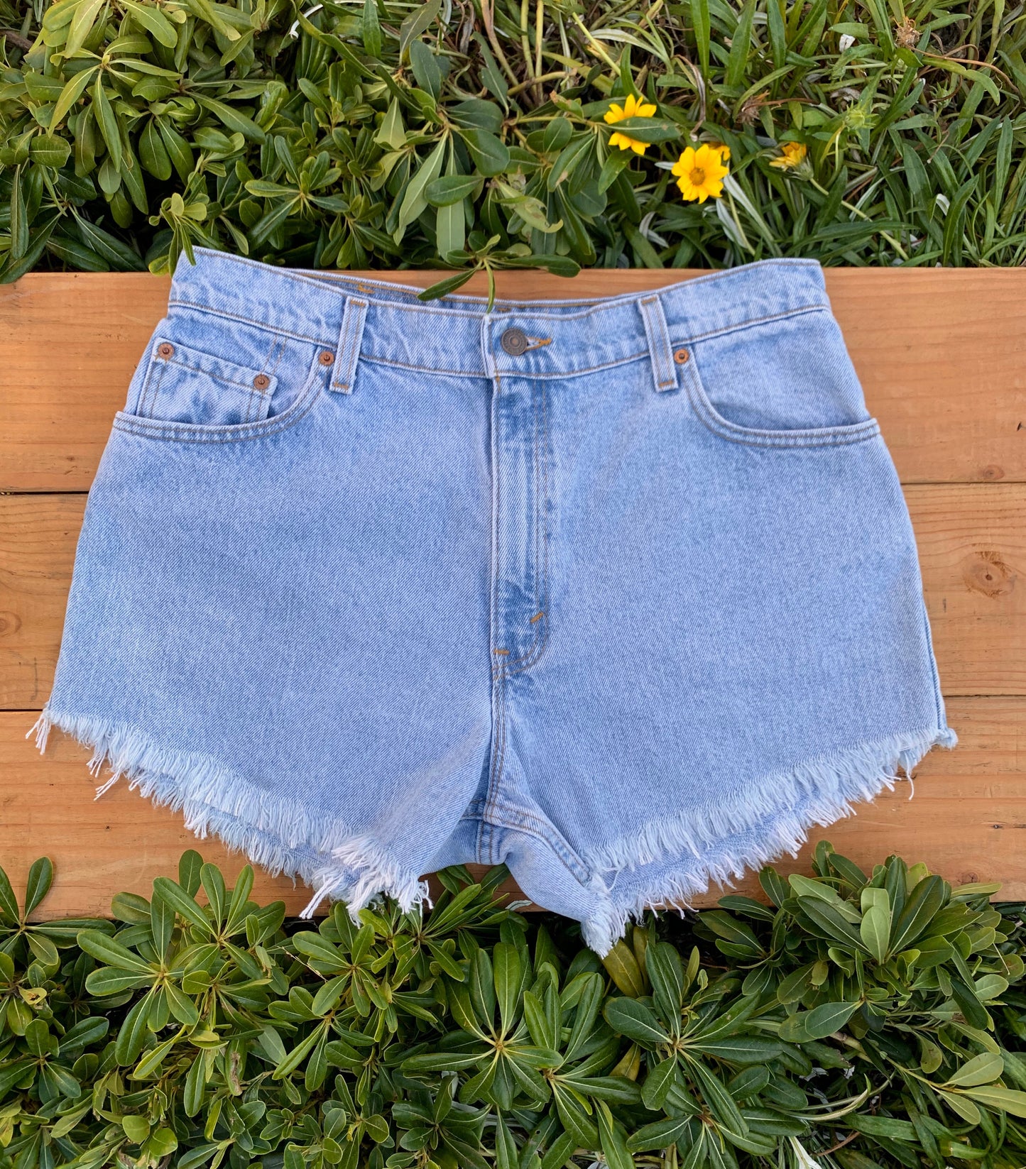 W34 550 Vintage Levi's Short